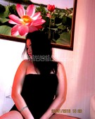 Анкета проститутки Светлана - метро Нагатино-Садовники, возраст - 23